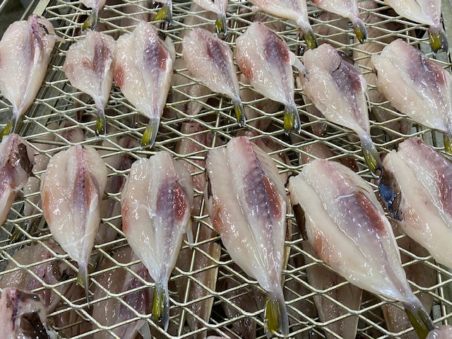 ふぐのひもの
