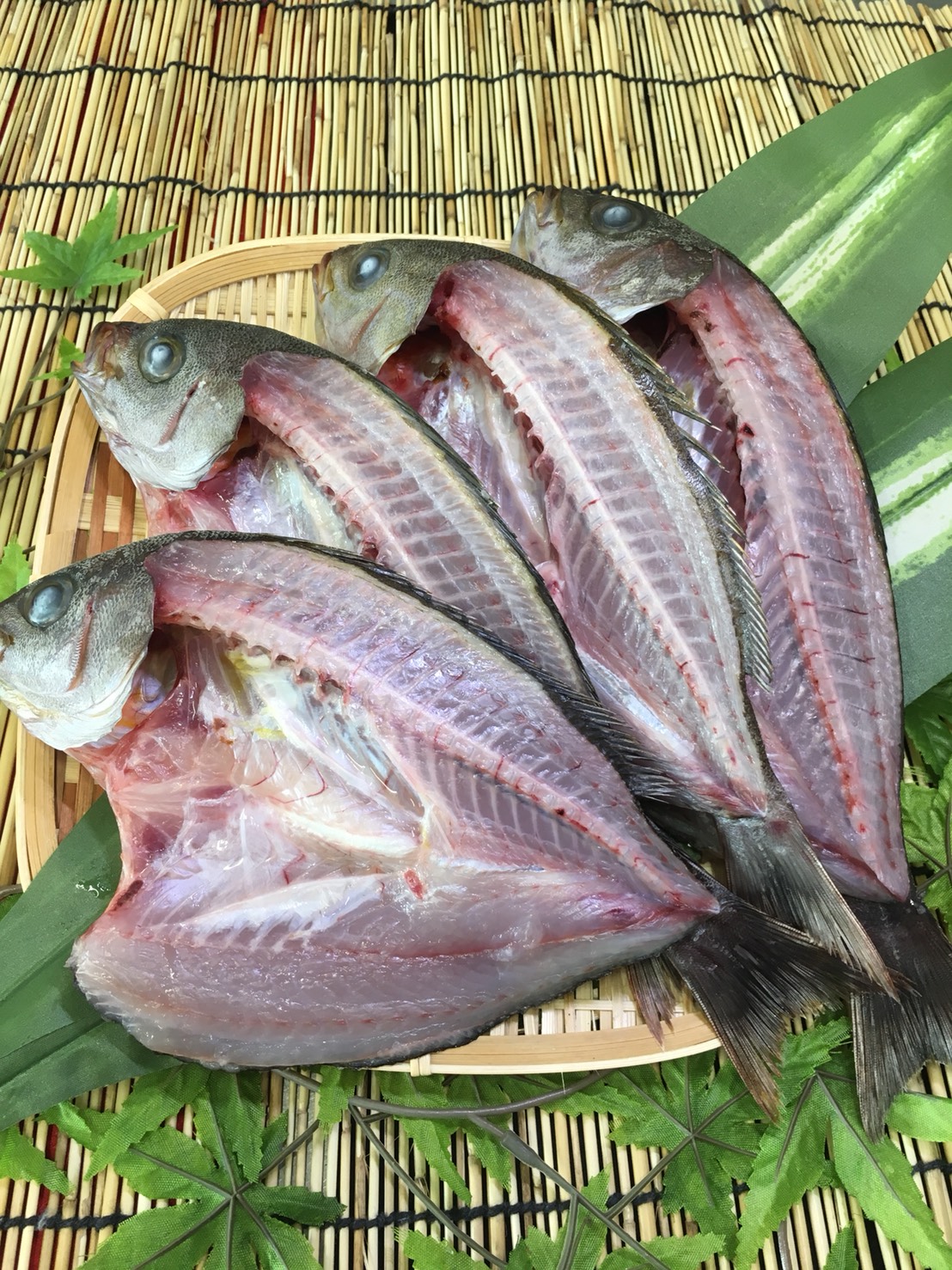 イサキのひもの