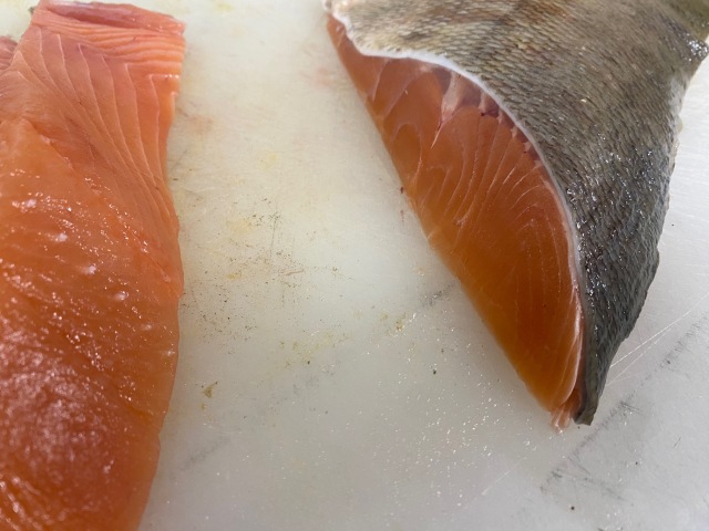 銀サケのひもの