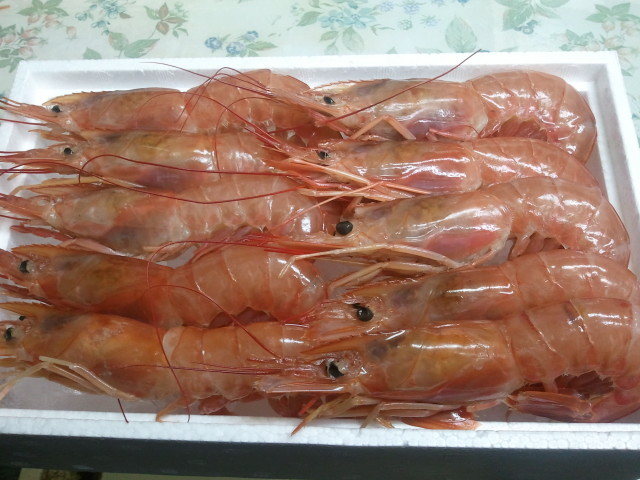 生食用あかえび