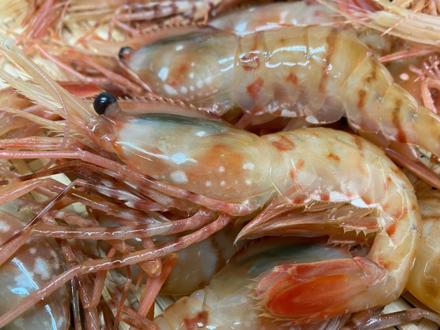 ぼたんえび