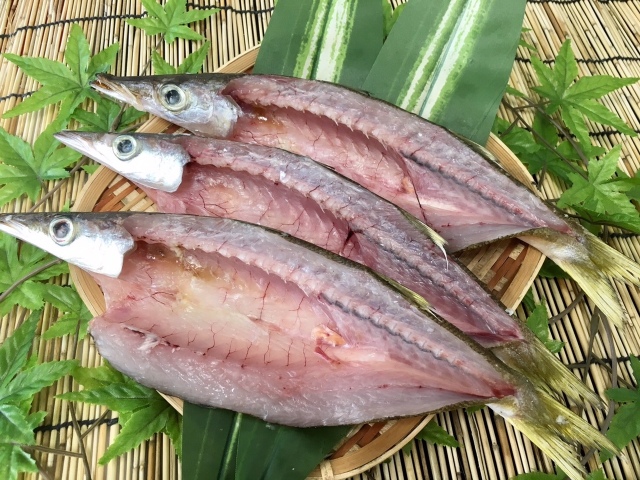水かますのひもの