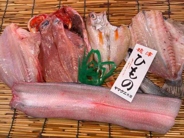 【送料込】高級で希少なさかなセット