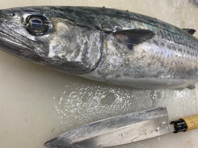 さわらのひもの