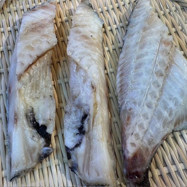 tubodai11.jpg?t=20260215045609