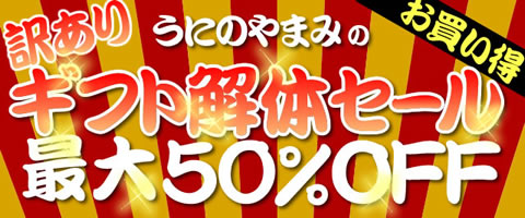 ギフト解体セール最大50％スマホ