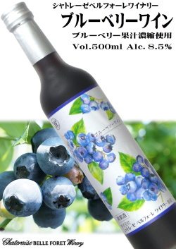 シャトレーゼベルフォーレワイナリー ブルーベリーワイン 500ml