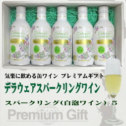 モンデ酒造 スリム缶ワイン デラウェア スパークリング 290ml×5 ギフトセット