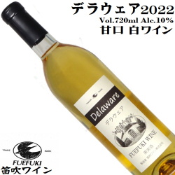 笛吹ワイン FUEFUKI WINE デラウェア 2022 720ml [日本ワイン][甘口]