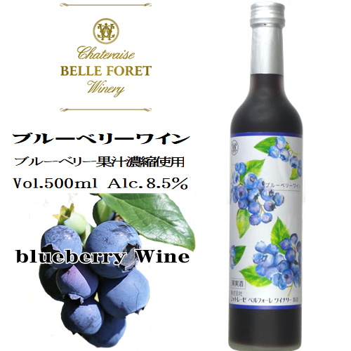 ワイン フルーツワイン 貧しく ブルーベリーワイン 500ml