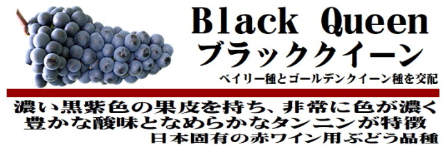 ブラッククィーン