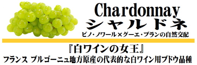シャルドネ