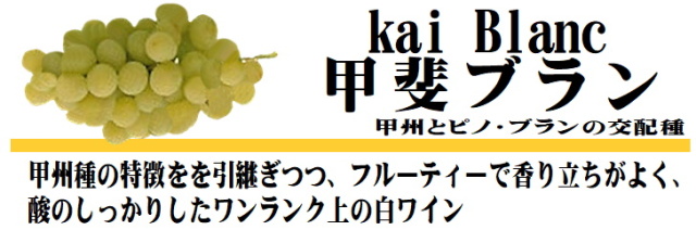 甲斐ブラン