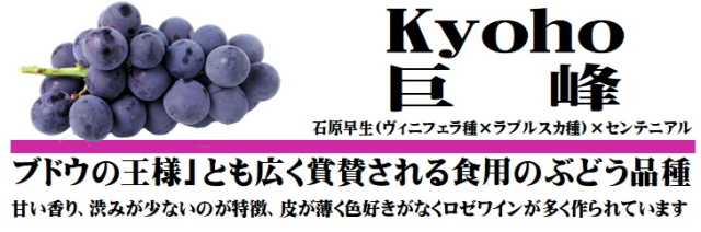 巨峰