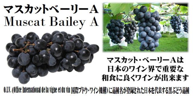 マスカットベーリーA