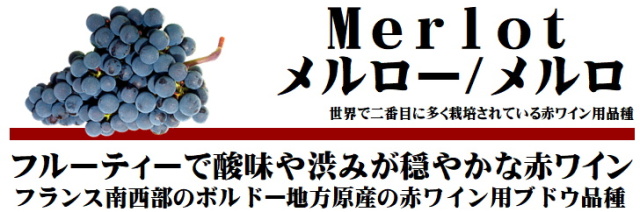 メルロー