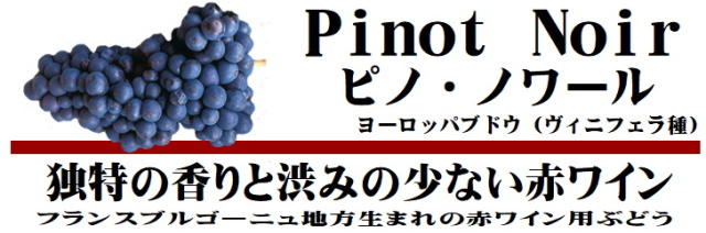 ピノノワール