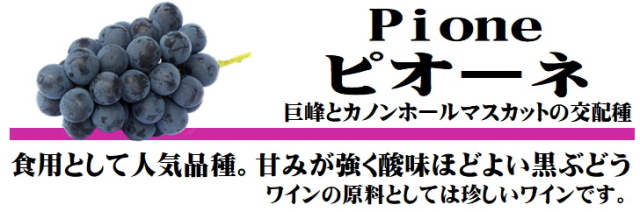 ピオーネ