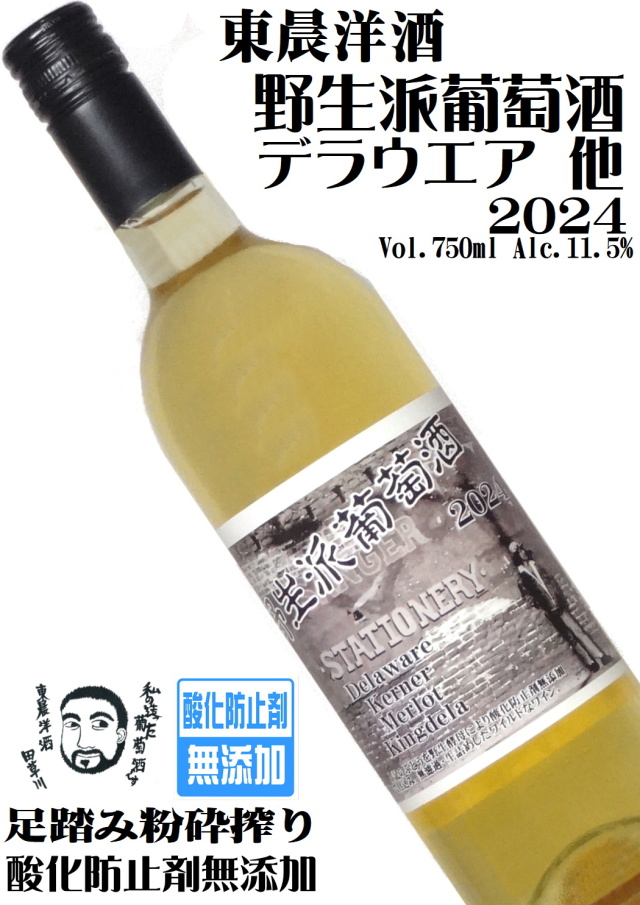 東晨洋酒 野生派葡萄酒(白) 2024 750ml [酸化防止剤無添加]
