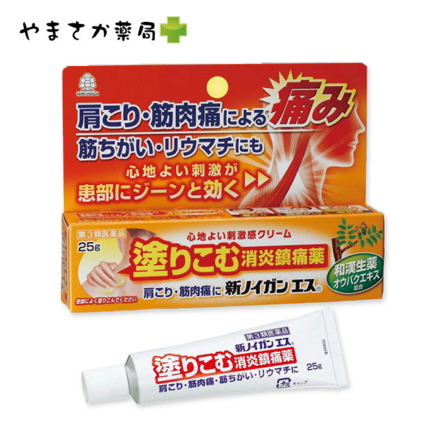 新ノイガンエス　２５ｇ【第３類医薬品】