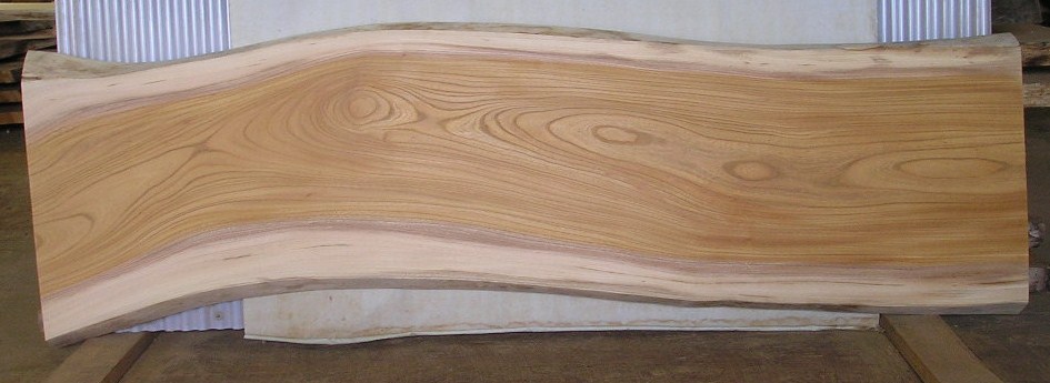 看板、テーブルに最適　Ｆ－５２２　ケヤキ板　１７１０×５６０×４５ｍｍ