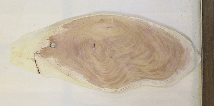 【送料・手数料無料】　山成林業　中型無垢一枚板　ＫC-５６３　ケヤキ　小型看板に最適　