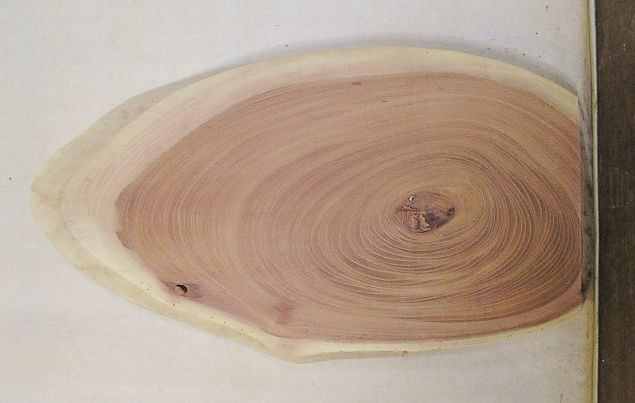 【送料・手数料無料】　山成林業　小型無垢一枚板　ＫＤ－５７０　ケヤキ　小型看板に最適　