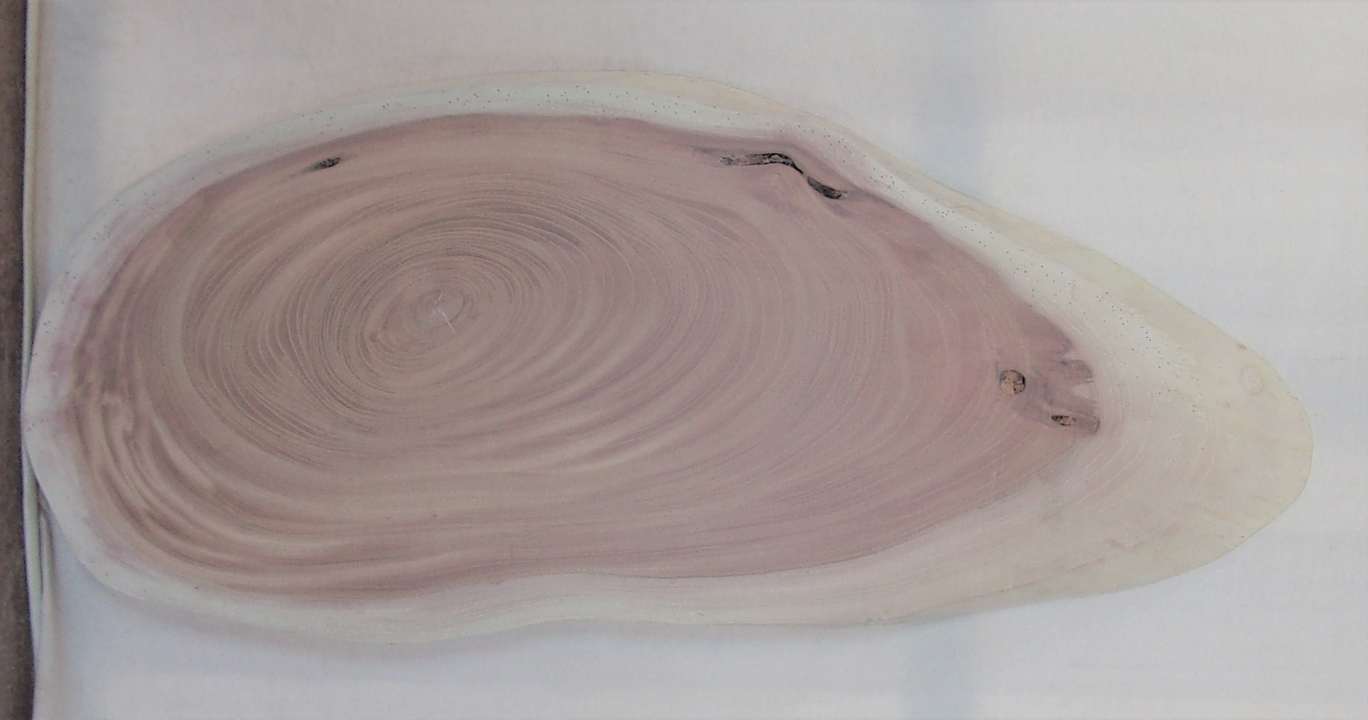 【送料・手数料無料】　山成林業　中型無垢一枚板　ＫC-５７９　ケヤキ　中型看板に最適　