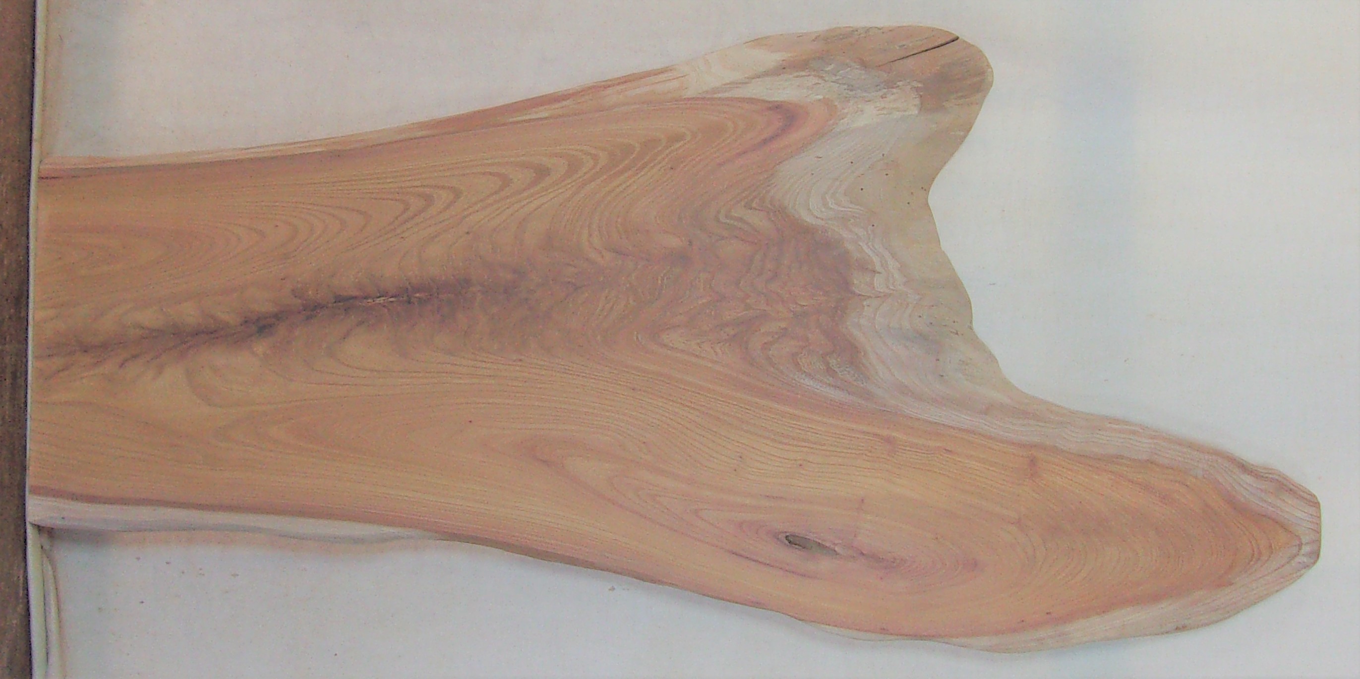 【送料・手数料無料】　山成林業　小型無垢一枚板　ＫＤ－５８４　ケヤキ　小型看板に最適　