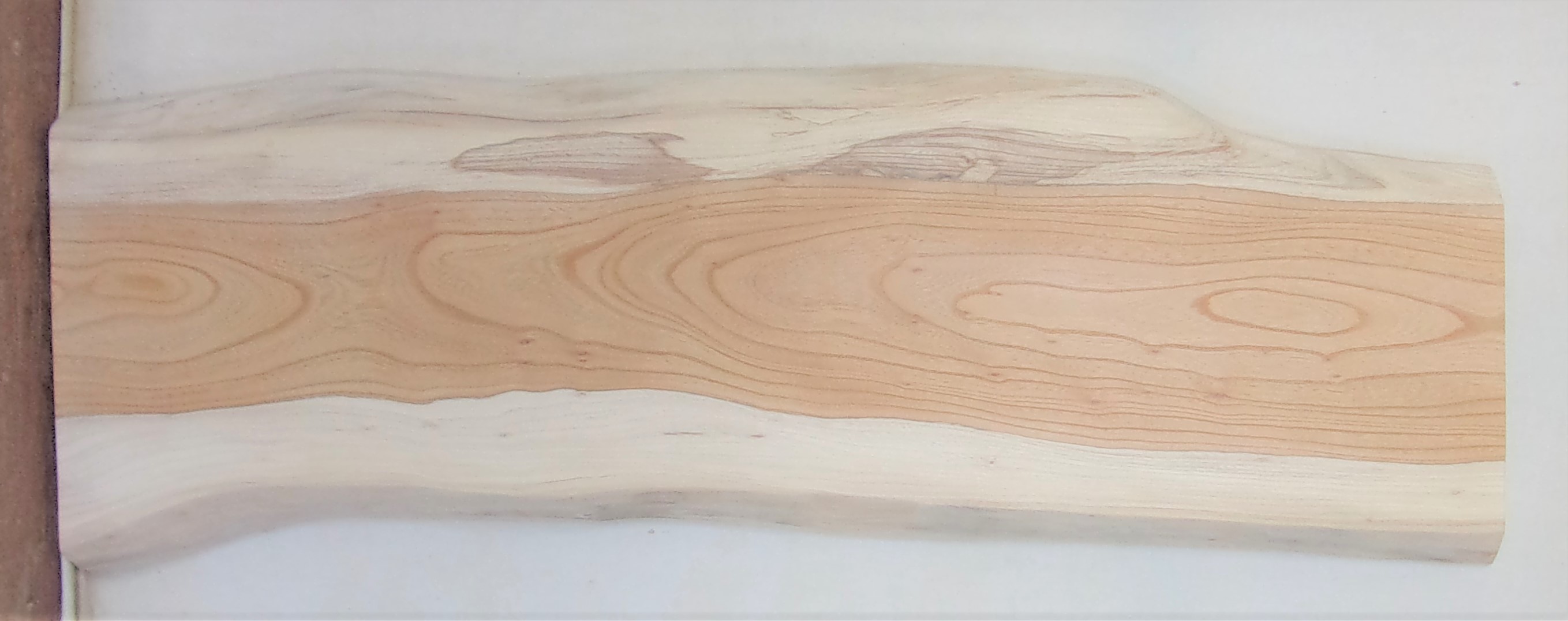 【送料・手数料無料】　山成林業　小型無垢一枚板　ＫＤ－５９０　ケヤキ　小型看板に最適　