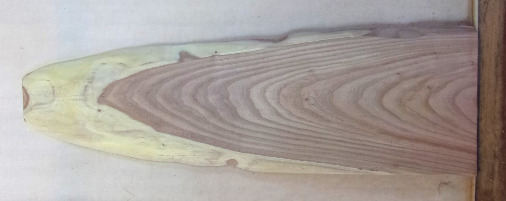 木の看板　小型無垢一枚板　ED-746　エンジュ　素材通販専門店　山成林業