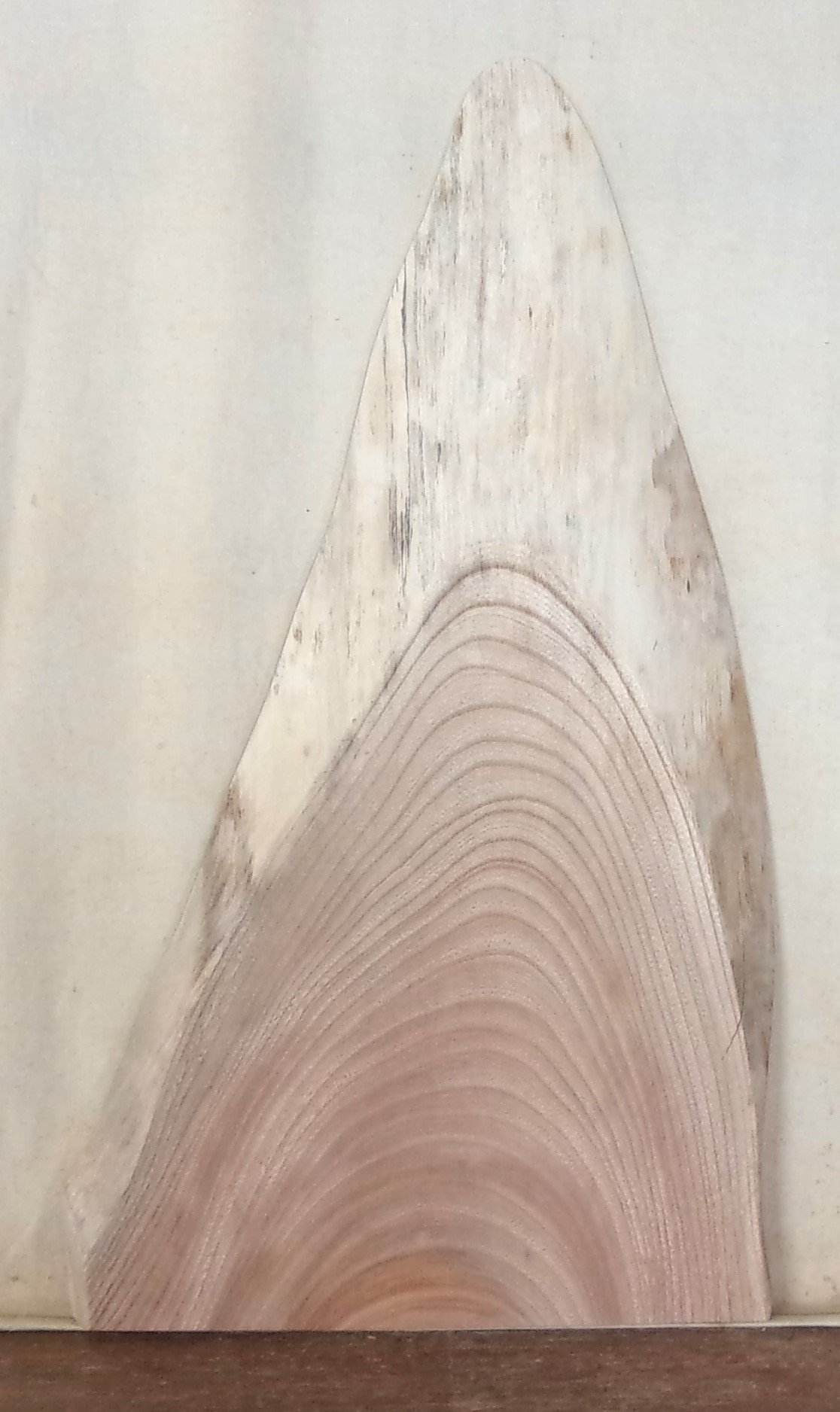 木の看板　小型無垢一枚板　ＫD－７５３　ケヤキ　素材通販専門店　山成林業