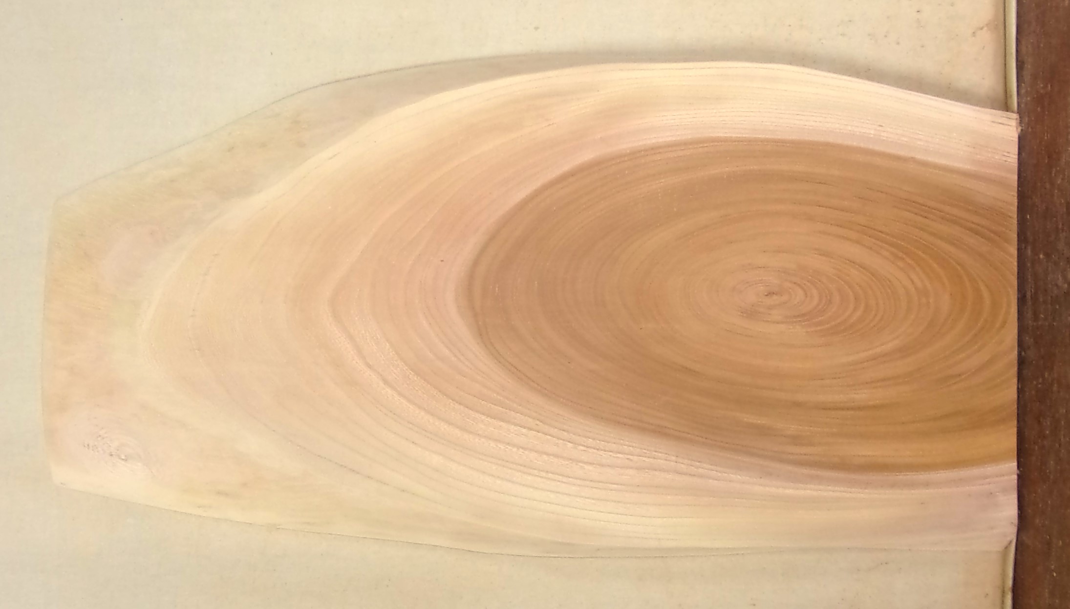 【送料・手数料無料】楕円小型無垢一枚板　ＫＤー７５６　ケヤキ　楕円小型看板に最適　