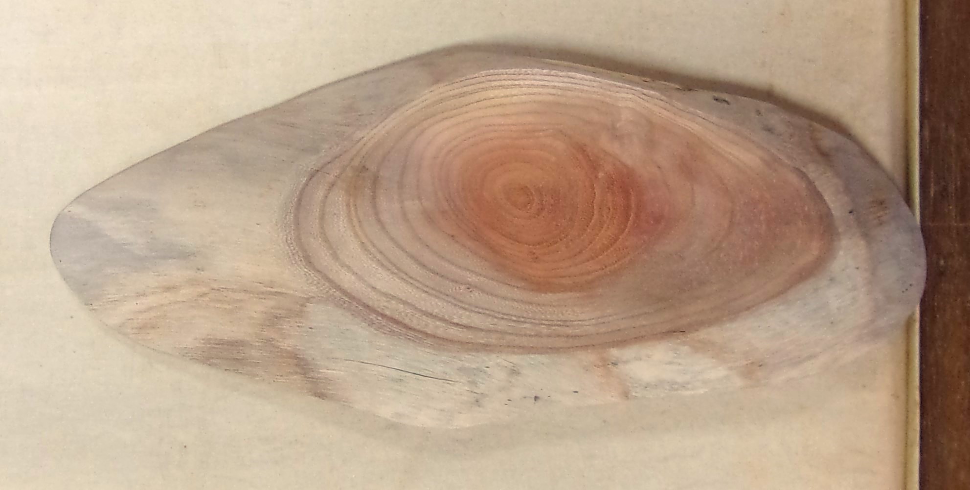 【送料・手数料無料】　山成林業　特小無垢一枚板　 KE-７６２　ケヤキ看板に最適