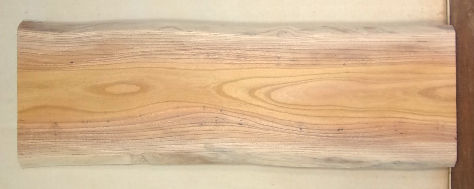 【送料・手数料無料！】　特価素材　中型無垢一枚板　ＫC－７６４　ケヤキ　中型看板に最適　