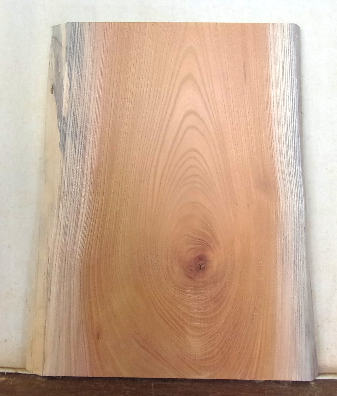 木の看板　小型無垢一枚板　ＫD－７６９　ケヤキ　素材通販専門店　山成林業