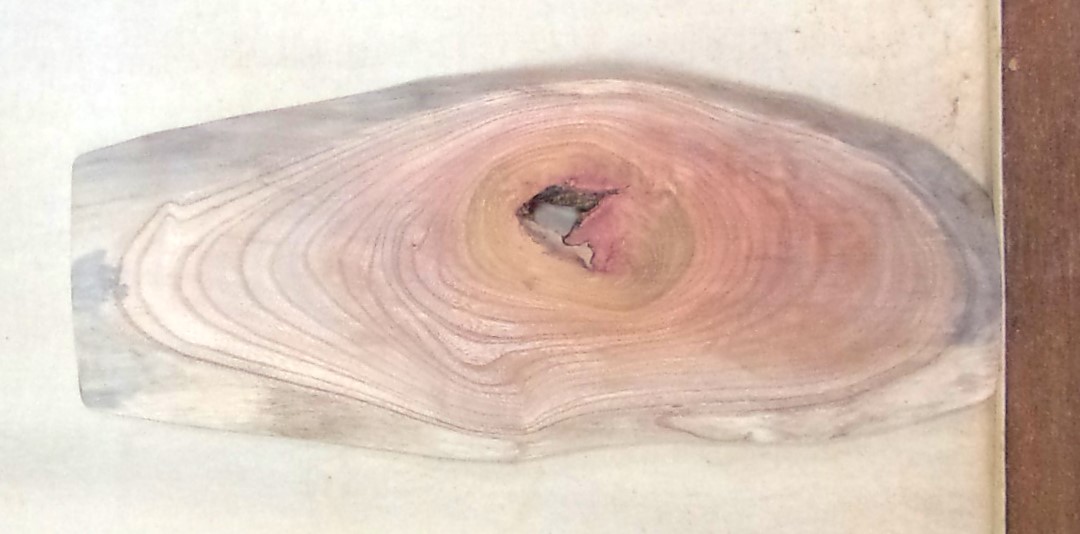 【送料・手数料無料】　山成林業　特小無垢一枚板　 KE-７９４　ケヤキ看板に最適