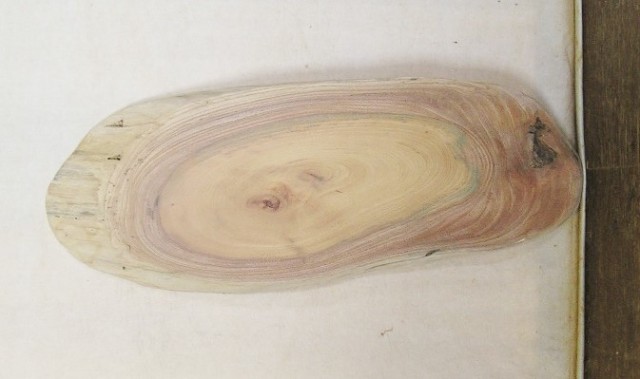 【送料・手数料無料】　山成林業　特小無垢一枚板 KE-５１６　ケヤキ看板に最適