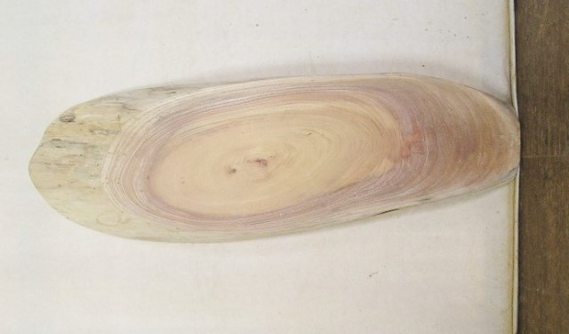 【送料・手数料無料】　山成林業　特小無垢一枚板 KE-５１７　ケヤキ看板に最適