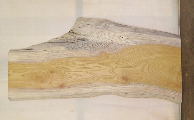 【送料・手数料無料】　山成林業　中型無垢一枚板　ＫＣ－５２４　ケヤキ　中型看板に最適　