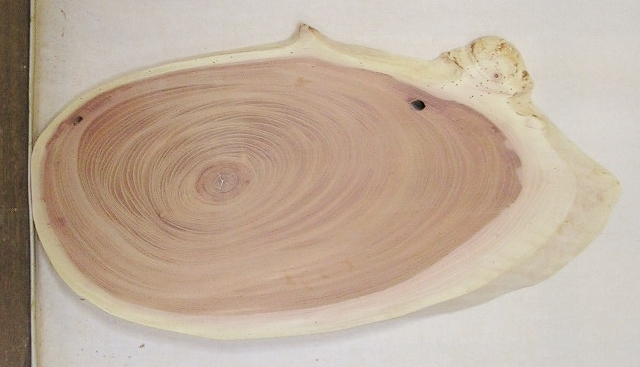 【送料・手数料無料】　山成林業　小型無垢一枚板　ＫＤ－５６９　ケヤキ　小型看板に最適　