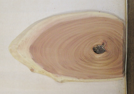 【送料・手数料無料】　山成林業　特小無垢一枚板 KE-５71　ケヤキ看板に最適