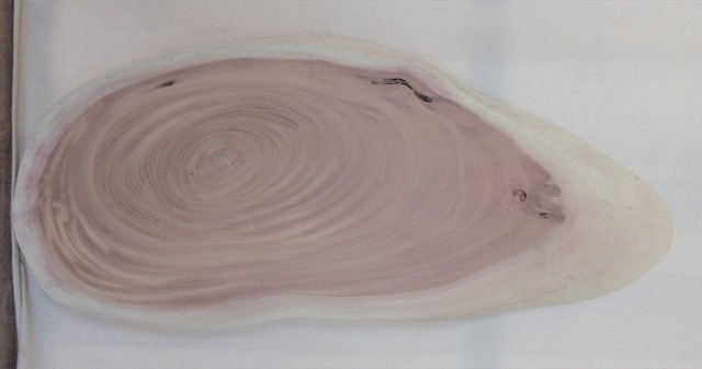 【送料・手数料無料】　山成林業　中型無垢一枚板　ＫC-５７９　ケヤキ　中型看板に最適　