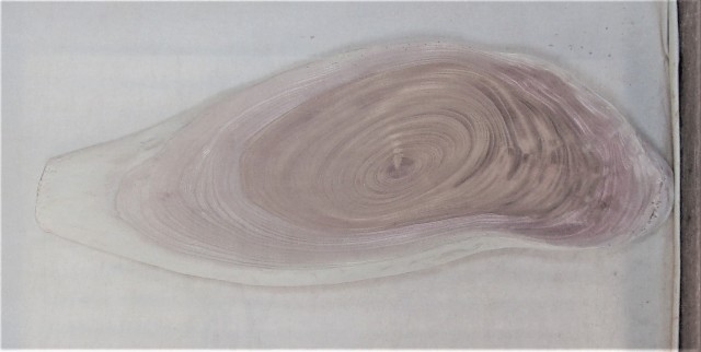 【送料・手数料無料】　山成林業　特小無垢一枚板 KE-５7７　ケヤキ看板に最適