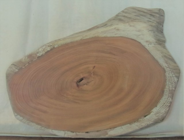 【送料・手数料無料】　山成林業　小型無垢一枚板　ＫＤ－５８６　ケヤキ　小型看板に最適　