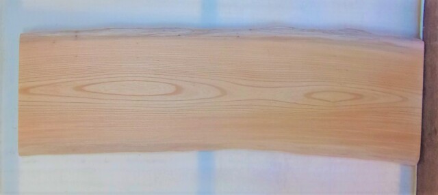 【送料・手数料無料】　山成林業　中型無垢一枚板　ＫC-６２２　ケヤキ　中型看板に最適　