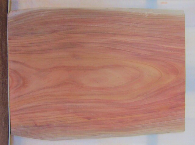 木の看板　中型無垢一枚板　ＫC－６２４　ケヤキ　素材通販専門店　山成林業