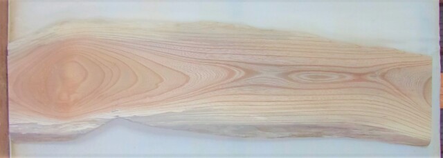 【送料・手数料無料】　山成林業　中型無垢一枚板　ＫC-６３８　ケヤキ　中型看板に最適　