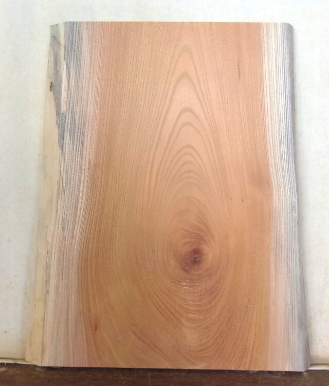 木の看板　小型無垢一枚板　ＫD－７６９　ケヤキ　素材通販専門店　山成林業