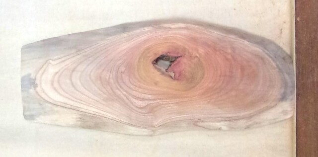 【送料・手数料無料】　山成林業　特小無垢一枚板　 KE-７９４　ケヤキ看板に最適